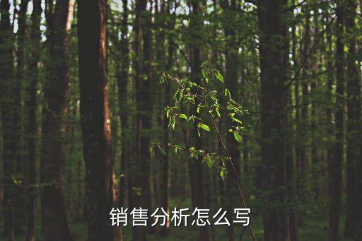 銷售分析，每天銷售業績分析怎么寫