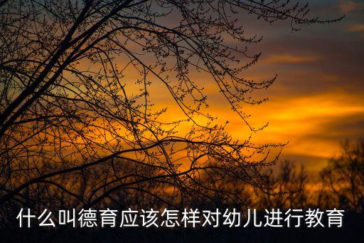什么叫德育應該怎樣對幼兒進行教育