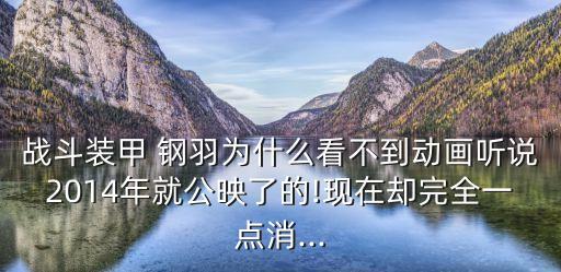 戰(zhàn)斗裝甲 鋼羽為什么看不到動(dòng)畫聽說2014年就公映了的!現(xiàn)在卻完全一點(diǎn)消...