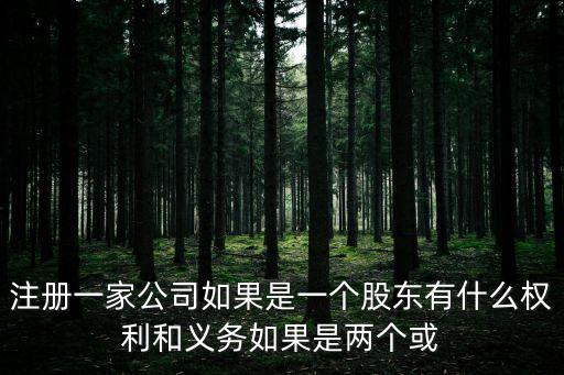 注冊一家公司如果是一個股東有什么權利和義務如果是兩個或