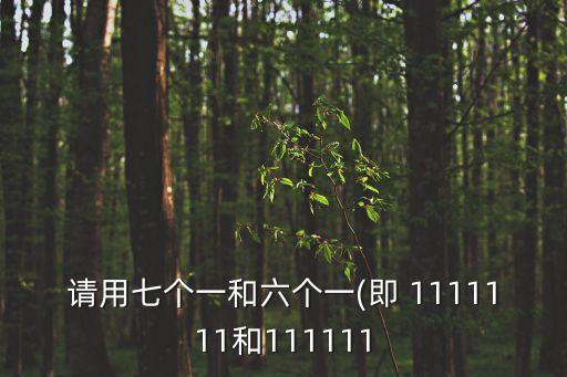 請用七個一和六個一(即 1111111和111111