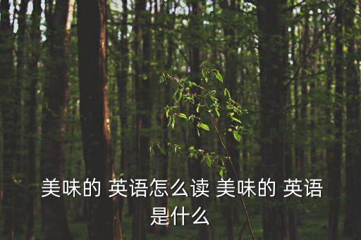 美味的用英語怎么說,英國甜蜜布丁好吃嗎?