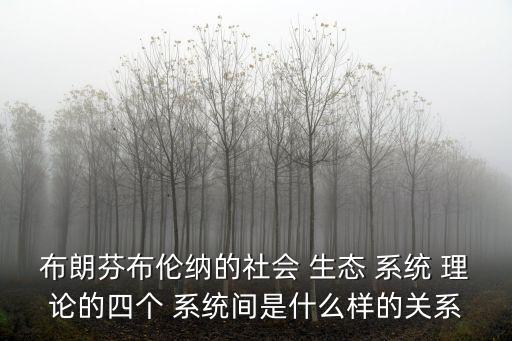 布朗芬布倫納的社會 生態 系統 理論的四個 系統間是什么樣的關系