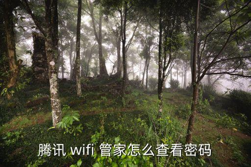 騰訊 wifi 管家怎么查看密碼