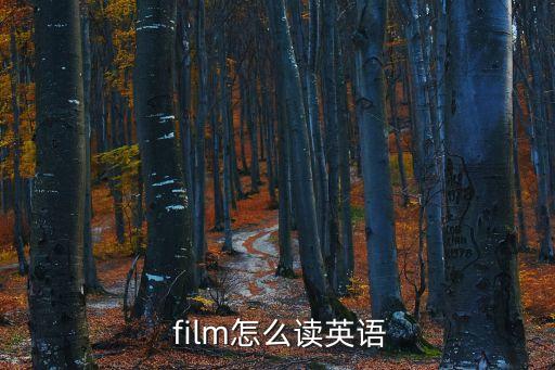 film是什么意思,去看電影在ins中意思是從事電影工作