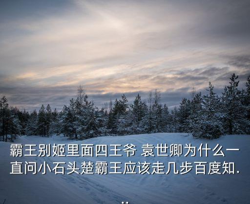 袁世卿,袁四爺:袁世卿和程蝶衣演技令人欽佩