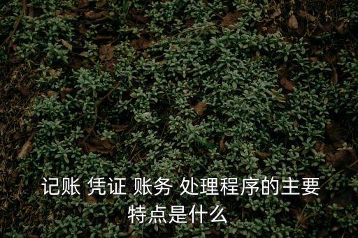  記賬 憑證 賬務 處理程序的主要特點是什么