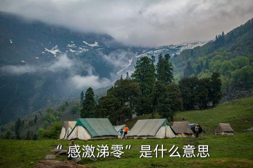“ 感激涕零”是什么意思