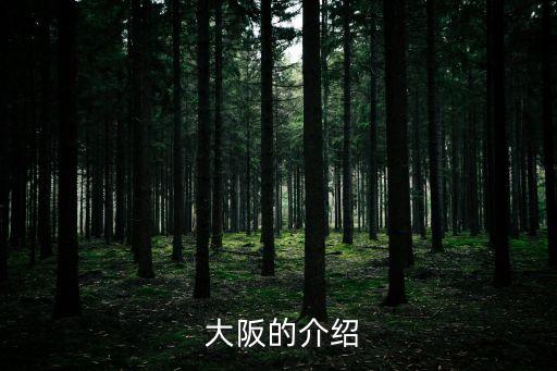  大阪的介紹