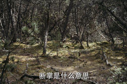 斷掌是什么意思,斷掌有價值嗎?