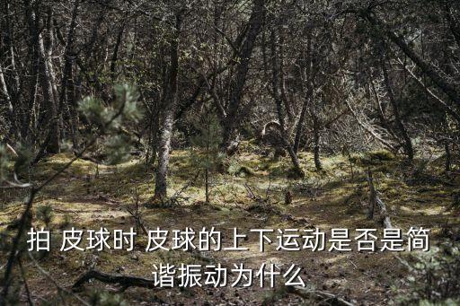 拍皮球,運球時手腕運動會增加控制球和傳球