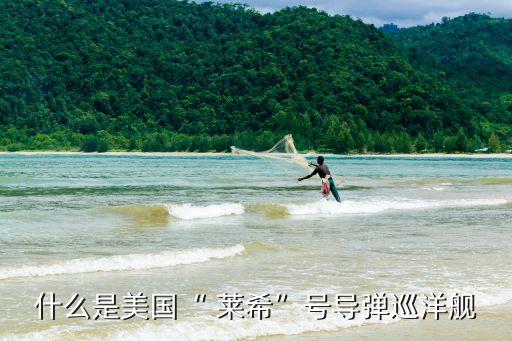 萊希,從同一個寶藏中分裂出來兩只小貓和小狗