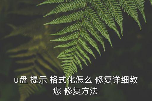 u盤提示格式化怎么修復,如何備份u盤數據?方法一覽