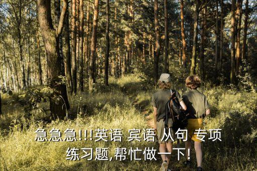 賓語(yǔ)從句專(zhuān)項(xiàng)練習(xí),一文讀懂!高考題庫(kù)