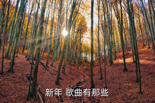 拜年歌曲,上街拜年七響鑼鼓響起迎新年