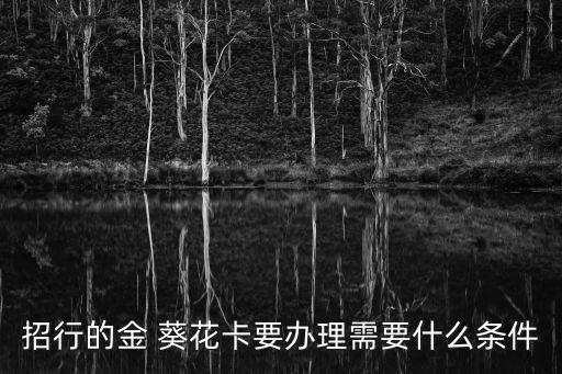 招行的金 葵花卡要辦理需要什么條件