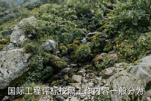 國際工程評標按照工作內容一般分為