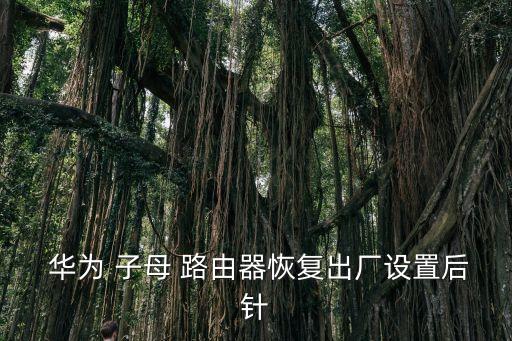  華為 子母 路由器恢復出廠設置后針