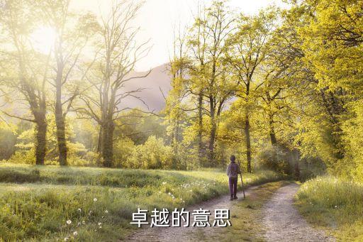 卓越的意思