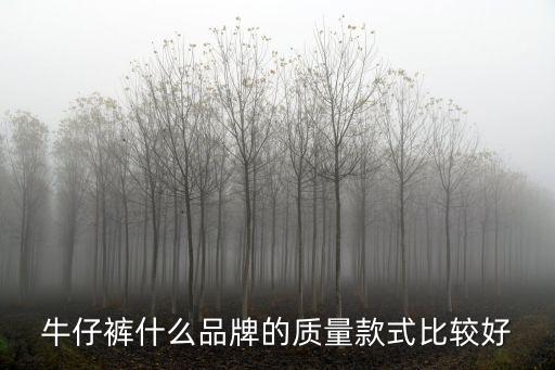 品牌牛仔褲，什么品牌的牛仔褲好