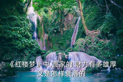 《紅樓夢》中,賈家的 財力有多雄厚又是怎樣衰落的