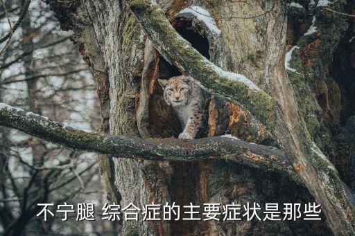 不寧腿 綜合癥的主要癥狀是那些