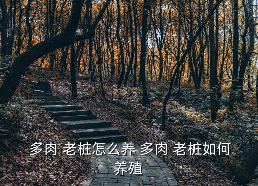 多肉老樁,如何快速養老樁?一文看懂