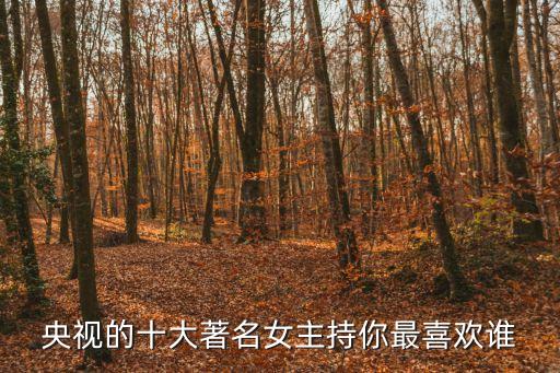 央視的十大著名女主持你最喜歡誰