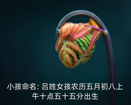 小孩命名: 呂姓女孩農歷五月初八上午十點五十五分出生