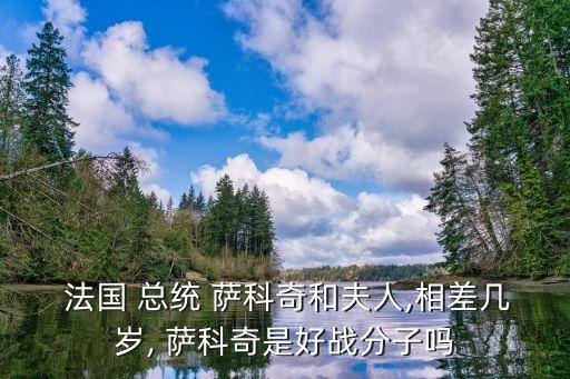 法國總統薩科齊,把法國變成政權薩科齊是個可憐可憐小丑