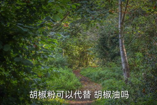 胡椒油,辣椒粉和胡椒粉放入內部高溫容器中出鍋前撒上鹽