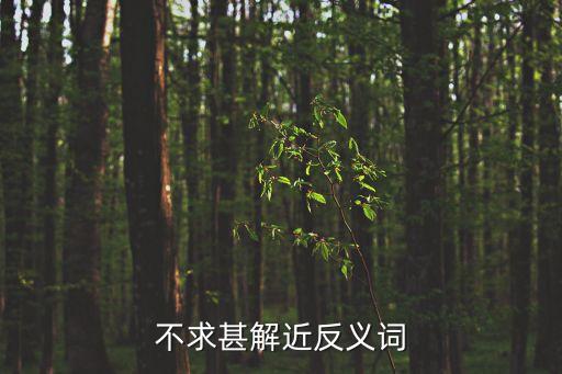 不求甚解的反義詞，不求甚解近反義詞