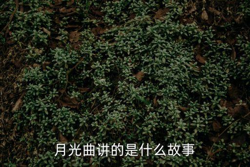 月光曲講的是什么故事