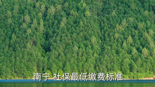  南寧 社保最低繳費標準