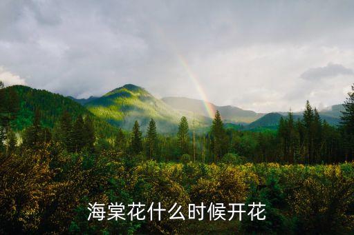 海棠花開花時間，海棠花開花期一般多長時間
