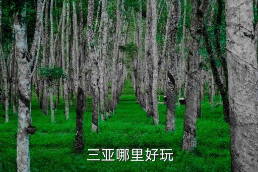 三亞美景圖片,三亞免費取景地拍照攻略教你拍美照