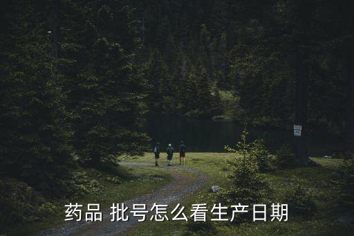 批號,中藥準字 1位數字老中醫標示批號