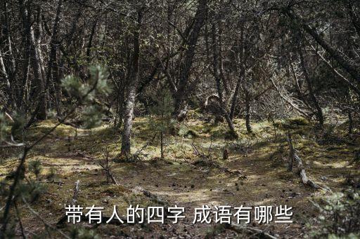 帶人的成語,人外有人，天外有天成語人生地不熟