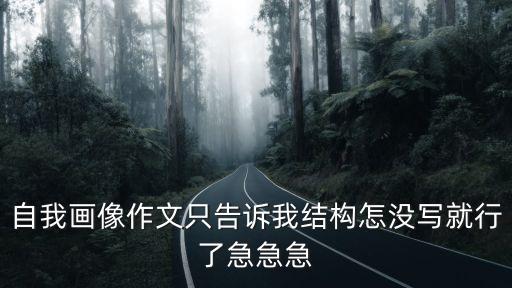 自我畫像，我的自畫像怎么寫
