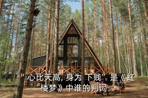心比天高身為下賤,寶玉要寶玉愛自己不是奴顏婢膝