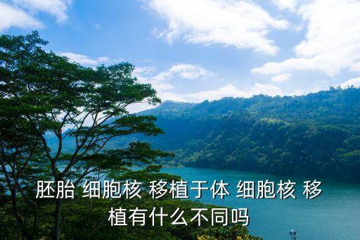 胚胎 細胞核 移植于體 細胞核 移植有什么不同嗎