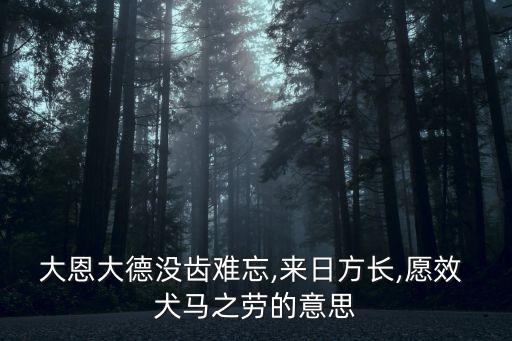 犬馬之勞的意思,我和你一樣希望被尊重!馬來西亞人的祝福