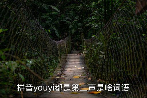 拼音youyi都是第二聲是啥詞語