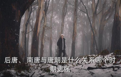 后唐、 南唐與唐朝是什么關系哪個時期更強