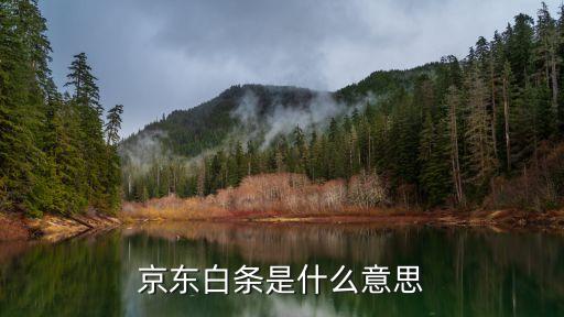 什么是白條，京東白條啥意思