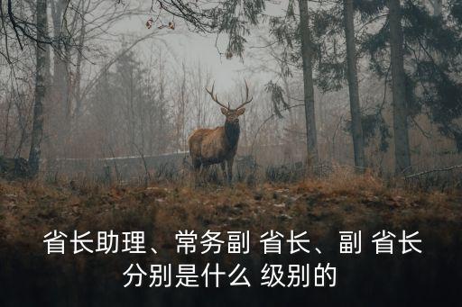  省長助理、常務副 省長、副 省長分別是什么 級別的
