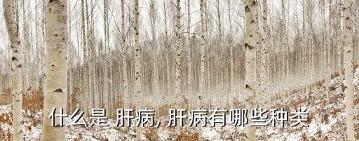 肝病有幾種,藥物肝片可治療肝病嗎?