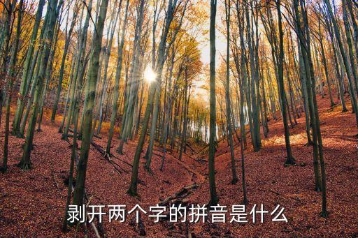 剝開的拼音，剝開的拼音