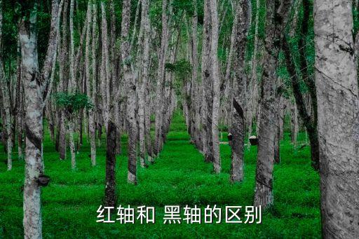 黑軸,游戲鍵盤黑軸優(yōu)勢:觸發(fā)鍵行程短功能快