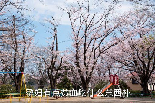  孕婦有點(diǎn)貧血吃什么東西補(bǔ)